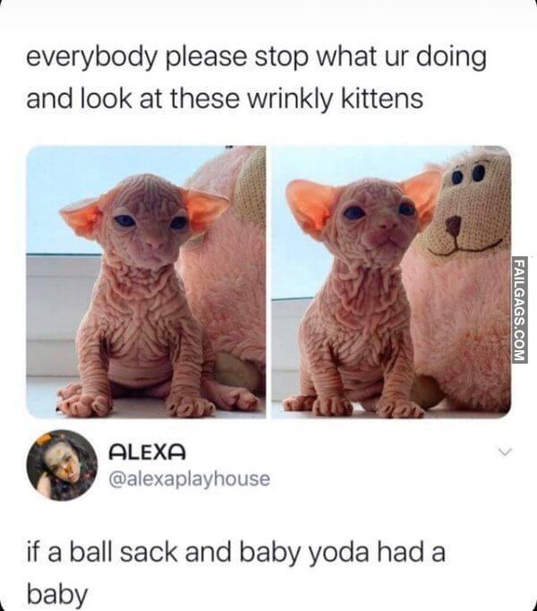 Dirty Humor 1 2
