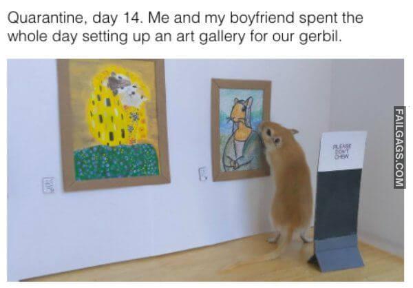 How People Spend Their Quarantine Days 11