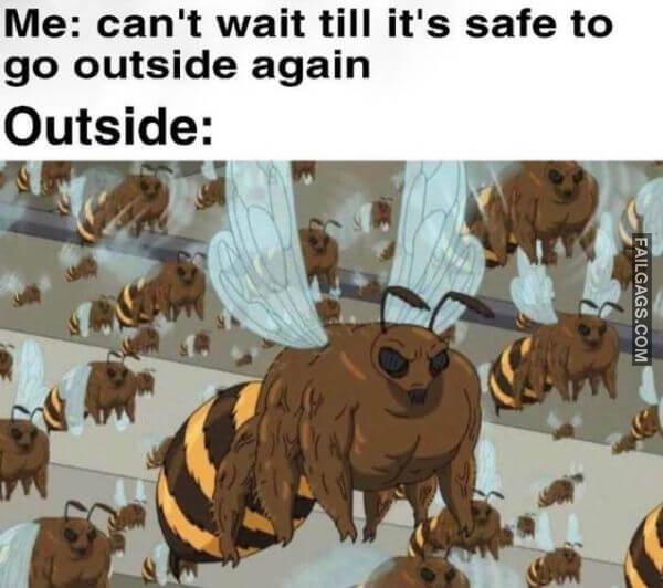 Random Funny Memes 1 1