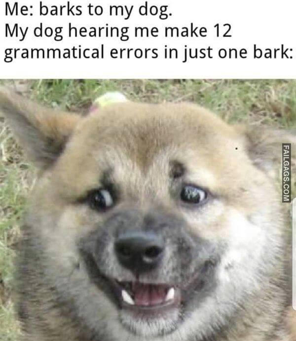 Random Funny Memes 18 3