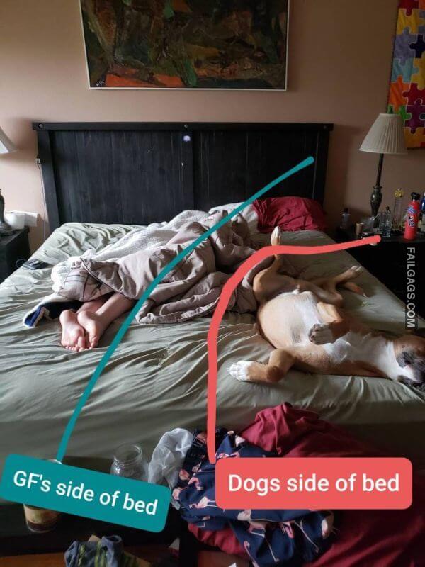 Random Funny Memes 2 9