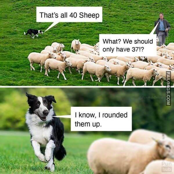 Random Funny Memes 7 5