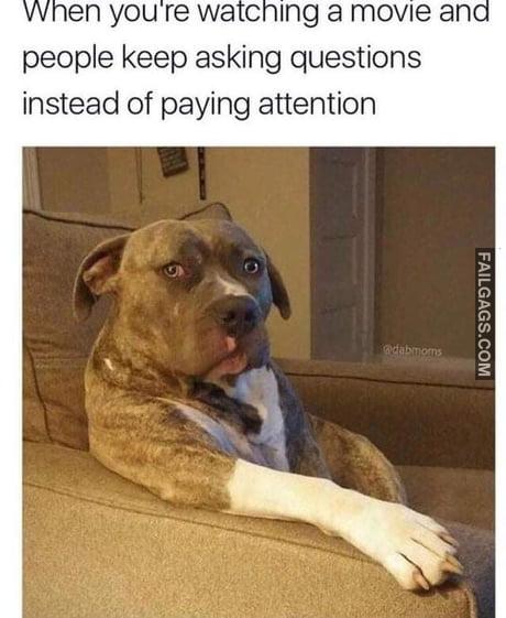 When You're Watching a Movie an People Keep Asking Questions Instead of Paying Attention Memes