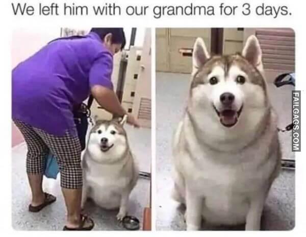 Funny Grandma Memes 16