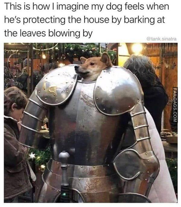 Random Funny Memes 11 10