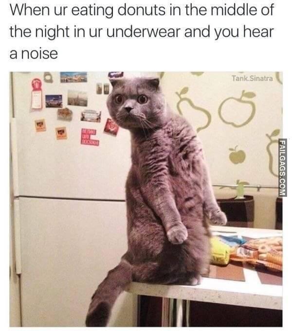 Random Funny Memes 18 3