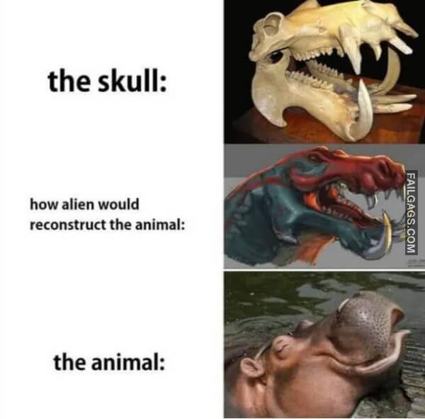 Random Funny Memes 5 5