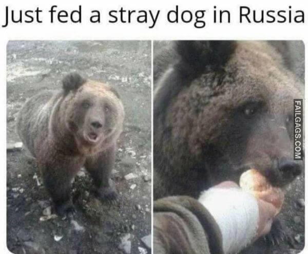 Random Funny Memes 9 10