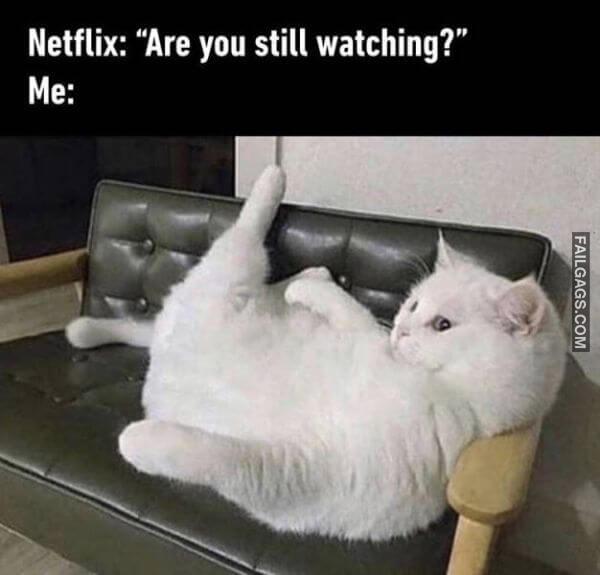 Random Funny Memes 9 5