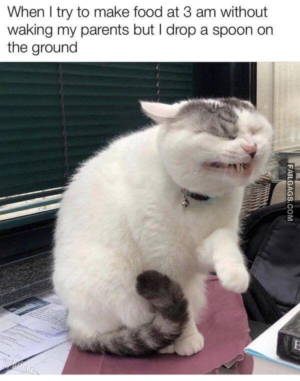 Random Funny Memes 9 9