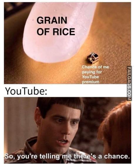 Grain of Rice Chance of Me Paying for Youtube Premium Youtube So You're Telling Me There's a Chance Memes