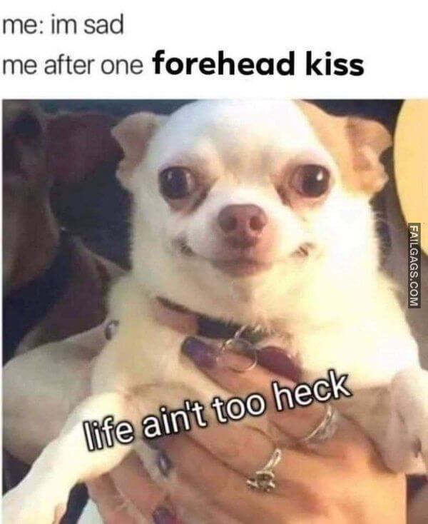 funny Flirtatious Memes 13