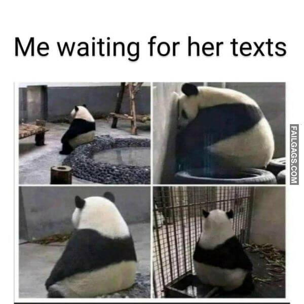 funny Flirtatious Memes 15