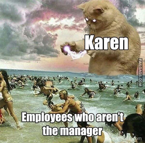 funny Karen Memes 10