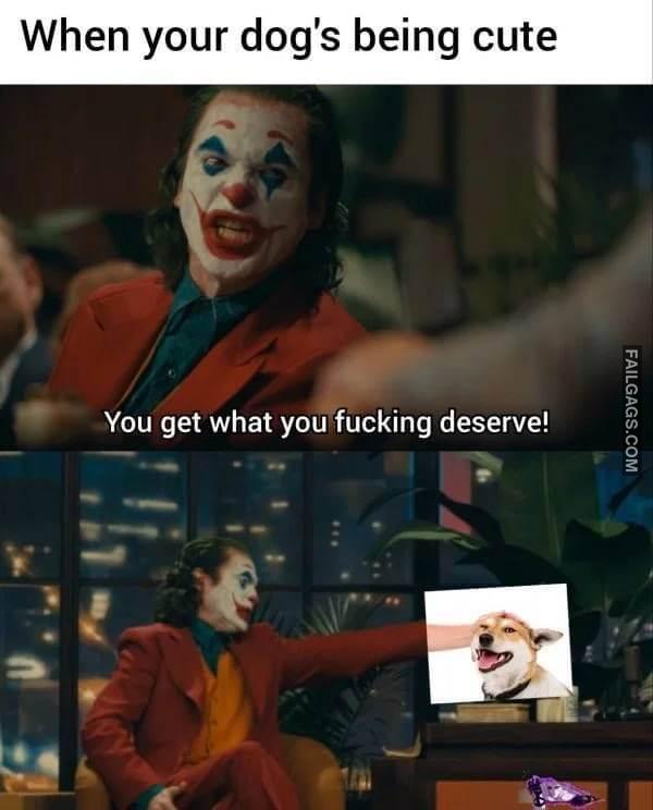 funny dog memes 5