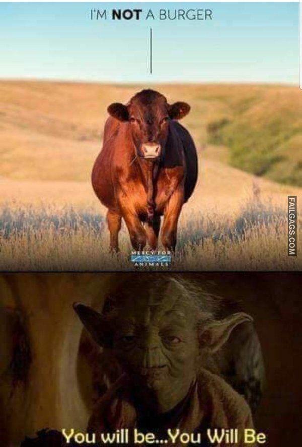 Dirty Humor 0