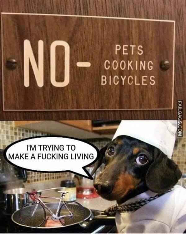 Random Funny Memes 1 1