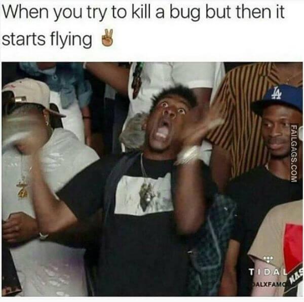 Random Funny Memes 11 2