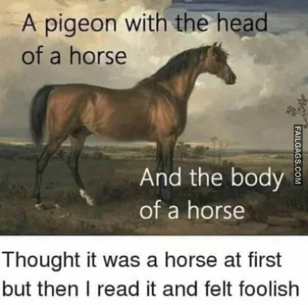 Random Funny Memes 12 7