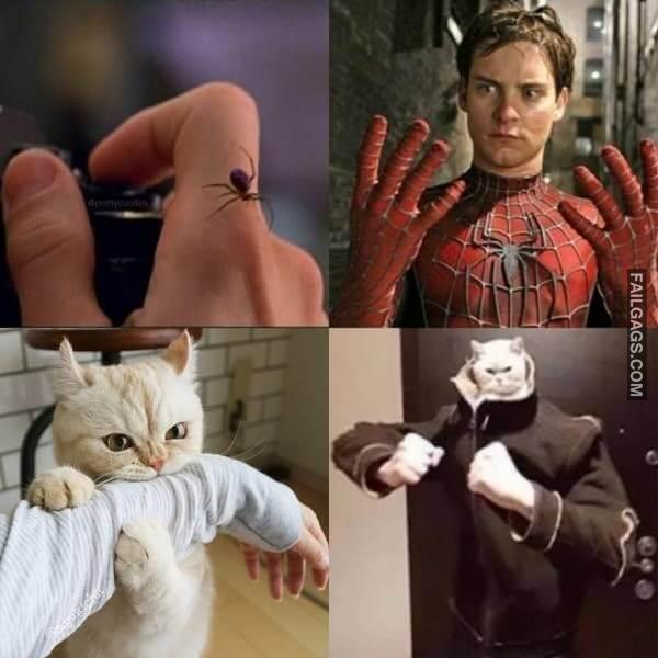Random Funny Memes 13 8