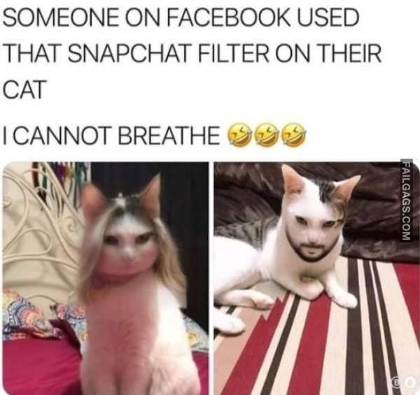 Random Funny Memes 17 6