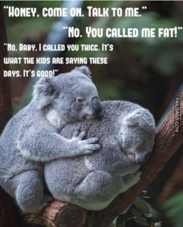 Random Funny Memes 19 2
