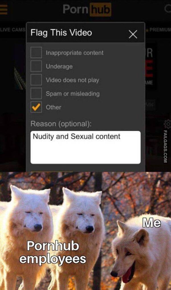Random Funny Memes 20 1