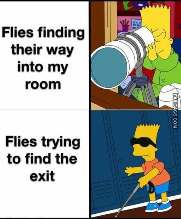 Random Funny Memes 4 3