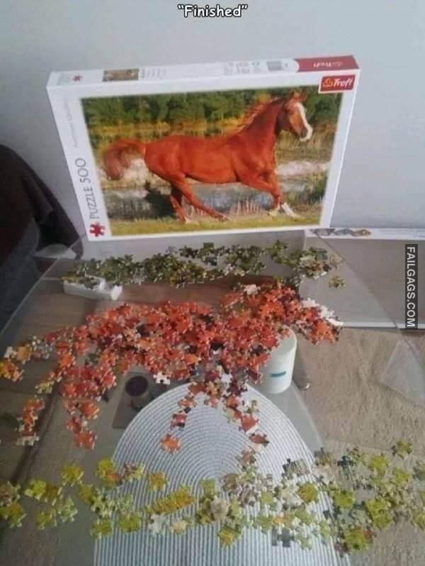 Random Funny Memes 5 8