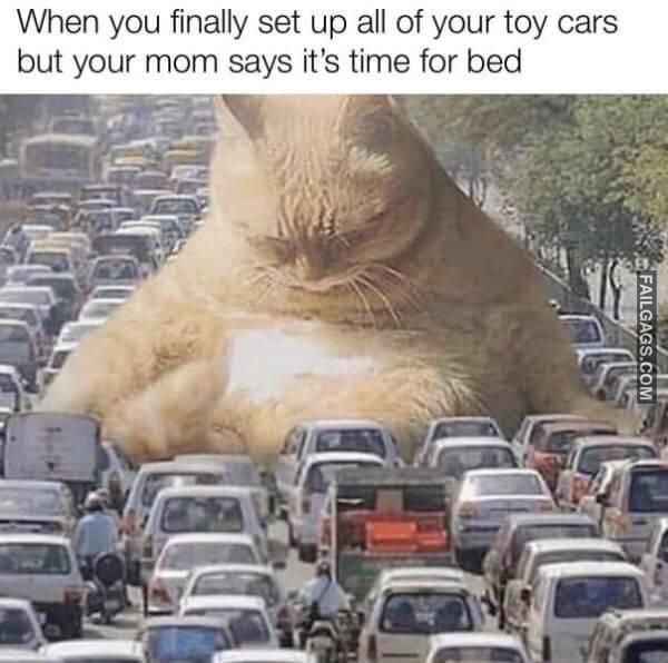 Random Funny Memes 7 4