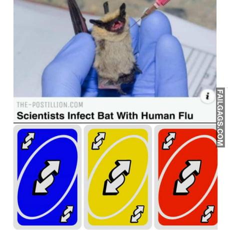Scientists Infect Bat With Human Flu Meme