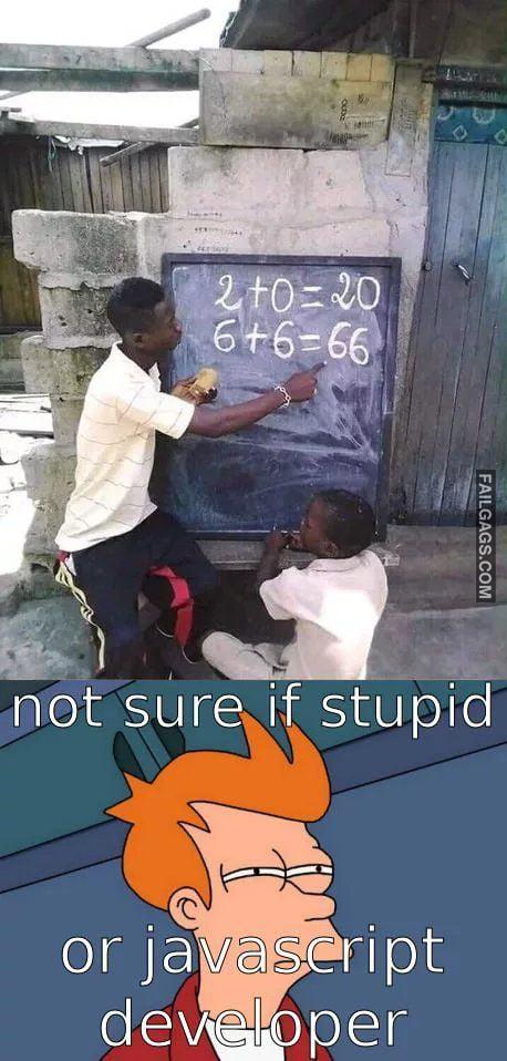 Not Sure if Stupid or Javascript Developer Memes