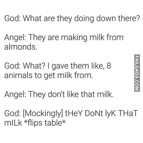 God: What Are They Doing Down There? Angel: They Are Making Milk From Almonds. God: What? I Gave Them Like, 8 Animals to Get Milk From. Angel: They Don't Like That Milk. God: [mockingly] They Dont Lyk That Mllk *flips Table* Meme