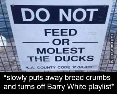 Do Not Feed or Molest the Ducks Slowly Puts Away Bread Crumbs and Turns Off Barry White Playlist Meme