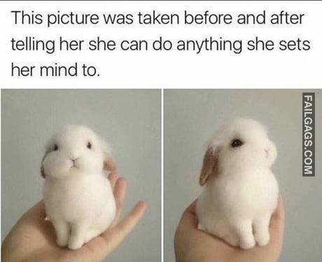 This Picture Was Taken Before and After Telling Her She Can Do Anything She Sets Her Mind to Meme