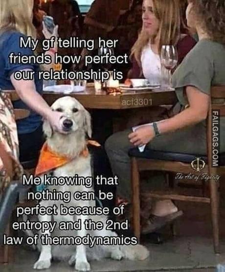 My Gf Telling Her Friends How Perfect Our Relationship is Me Knowing That Nothing Can Be Perfect Because of Entropy and the 2nd Low of Thermodynamics Memes