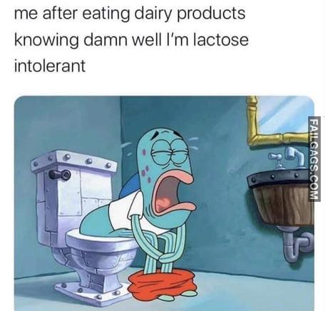 Me After Eating Dairy Products Knowing Damn Well I'm Lactose Intolerant Memes