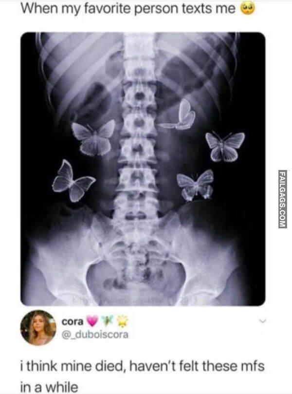 funny Dating Memes 11 1