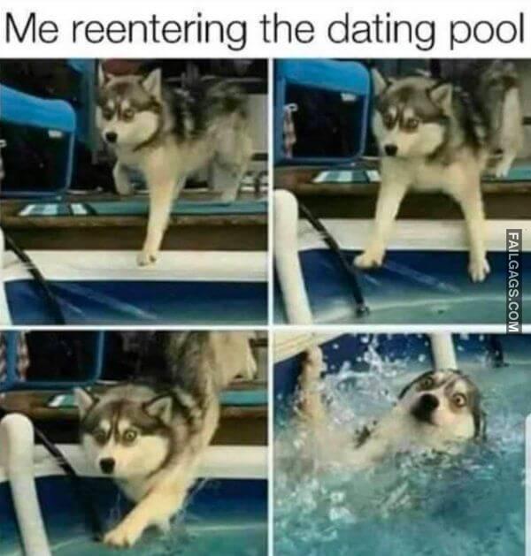 funny Dating Memes 13