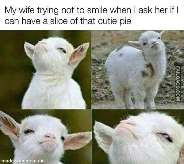 funny Flirtatious Memes 12