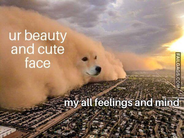 funny Flirtatious Memes 6