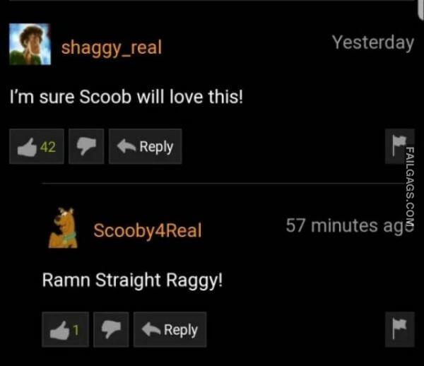 funny Pornhub Comments 6