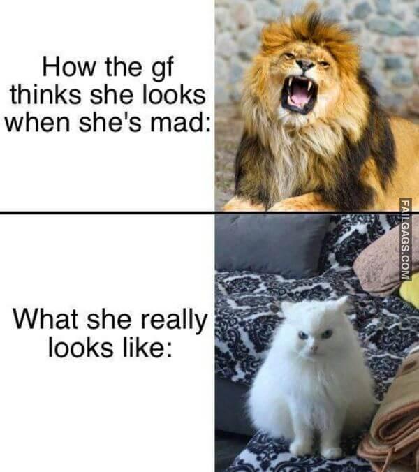 Random Funny Memes 16 2