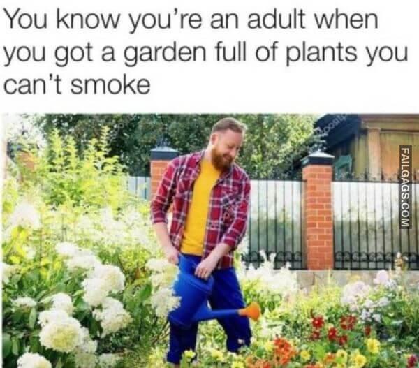 Random Funny Memes 17 3