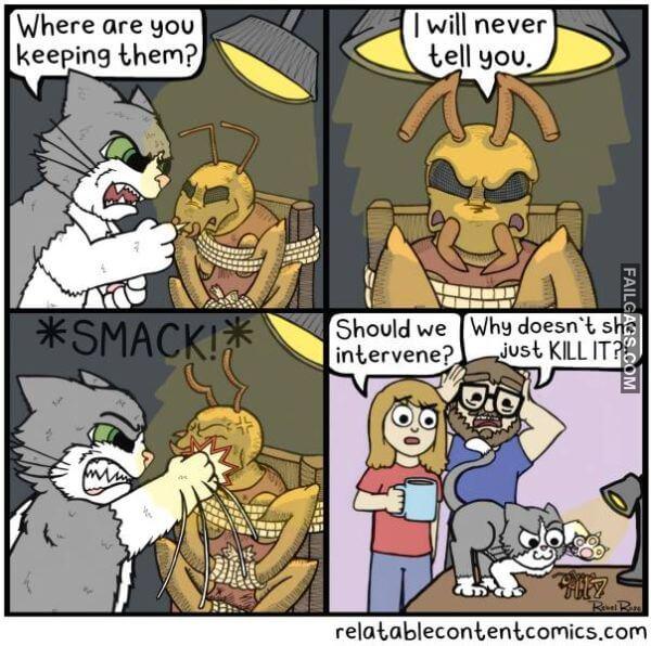 Random Funny Memes 19 4