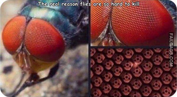 Random Funny Memes 2 1