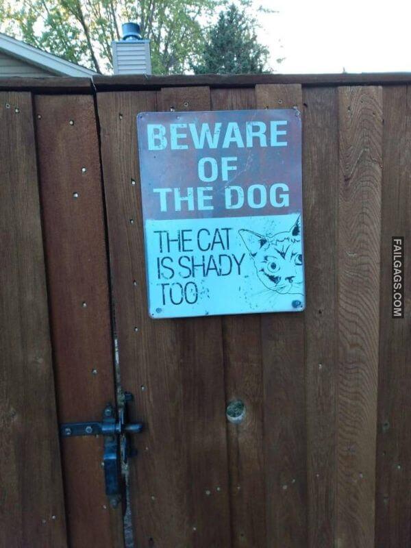Random Funny Memes 2 5