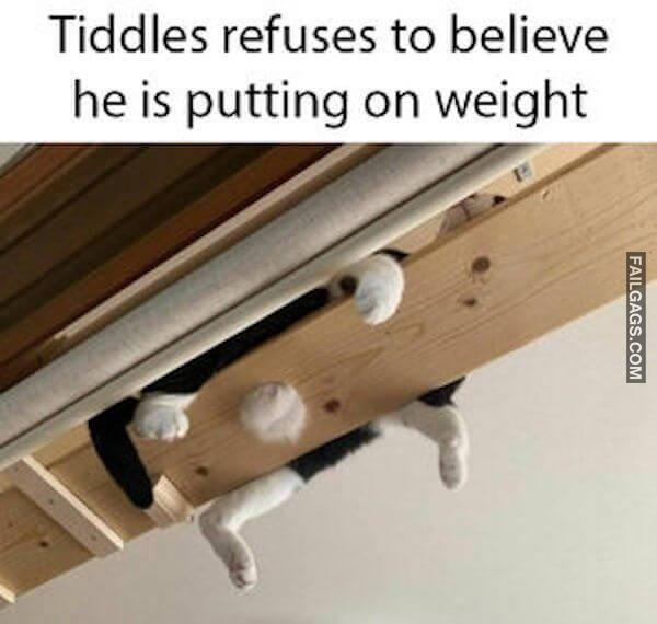 So True memes 11