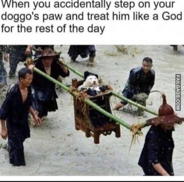 So True memes 5