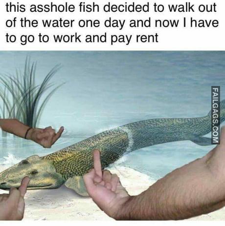 This Asshole Fish Decided to Walk Out of the Water One Day and Now I Have to Go to Work and Pay Rent Meme